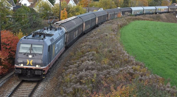 Un treno sulla ferrovia circondato da case, cespugli ed erba verde