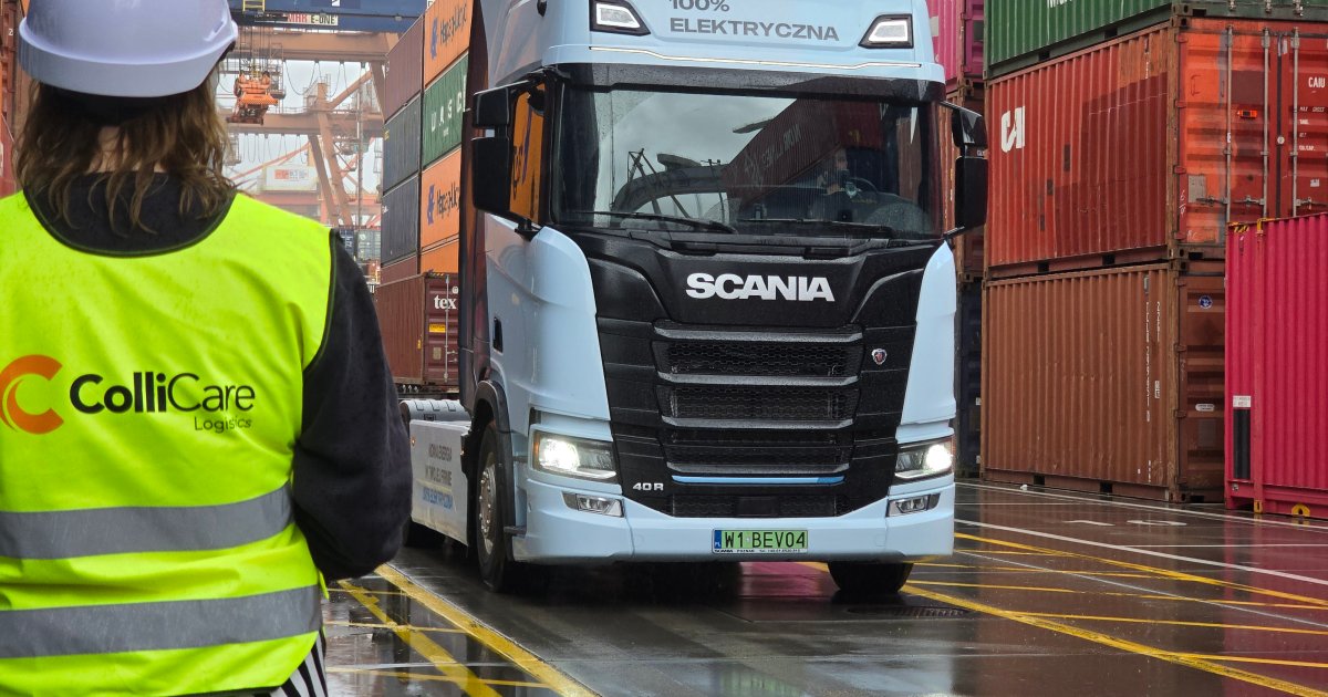 stockx europa dogana