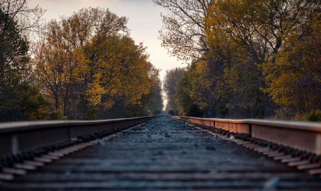 r_d_smith_x7dH9RMb_Pw_unsplash.jpg_COL_07387